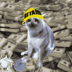 Cash Cat #3752