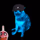 3529