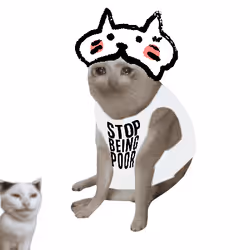 Cash Cat #845