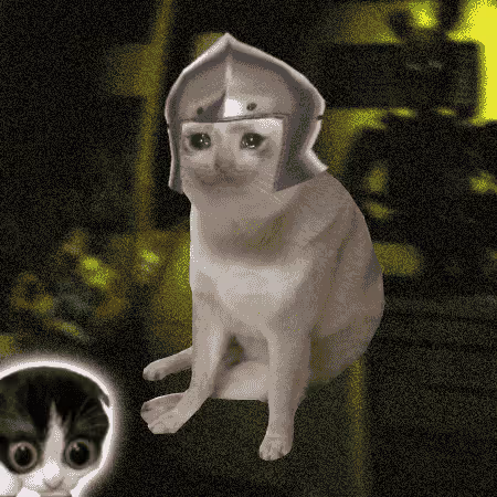 Cash Cat #7461