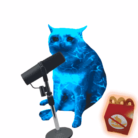 Cash Cat #3731