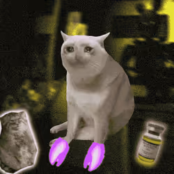 Cash Cat #1008