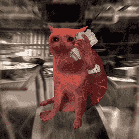 Cash Cat #6499