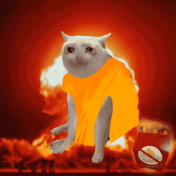 Cash Cat #5568