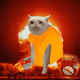 5568