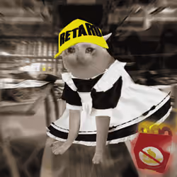 Cash Cat #2989