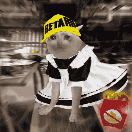 Cash Cat #2989