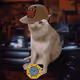 3239