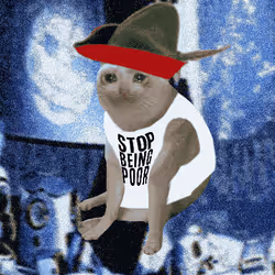 Cash Cat #3237