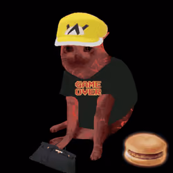 Cash Cat #534
