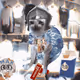 Cash Cat #9313