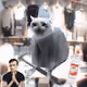 Cash Cat #7897