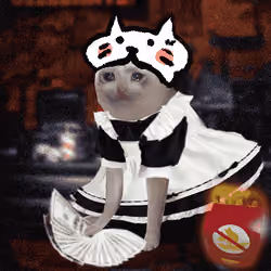 Cash Cat #1255