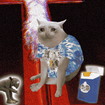 Cash Cat #4135