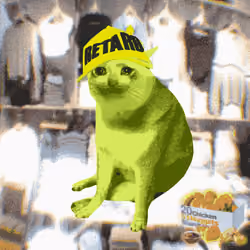 Cash Cat #5571
