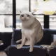 4114