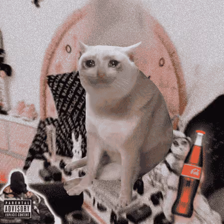 Cash Cat #478