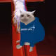 3825
