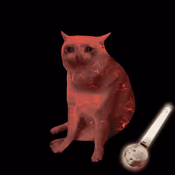 Cash Cat #8210