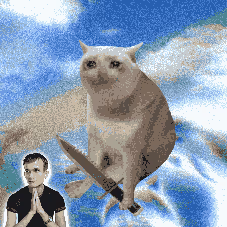 Cash Cat #3091