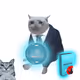6239