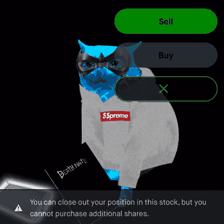 Cash Cat #2535