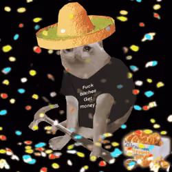 Cash Cat #9250