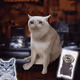 983