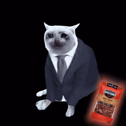 Cash Cat #4901