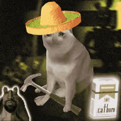 Cash Cat #6959