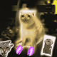Cash Cat #8006