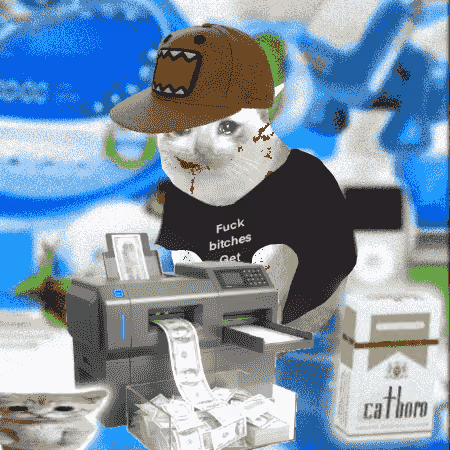 Cash Cat #8003
