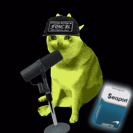 Cash Cat #2289