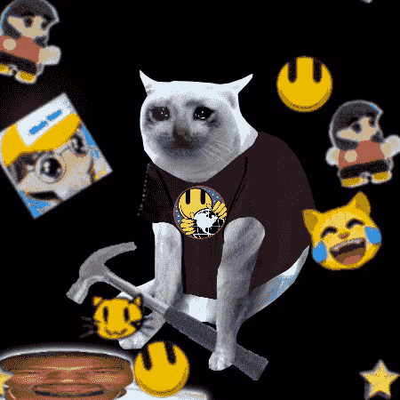 Cash Cat #2402