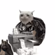 6054