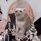 6502