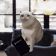 9749