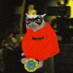 Cash Cat #9075