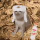 4099