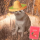 3197
