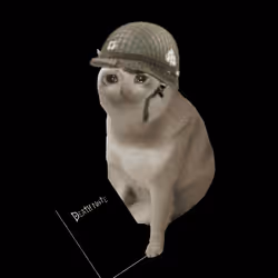 Cash Cat #9558