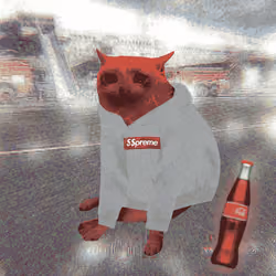 Cash Cat #8067