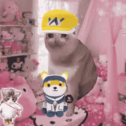 Cash Cat #3375