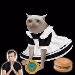 Cash Cat #9052