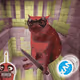 Cash Cat #5250