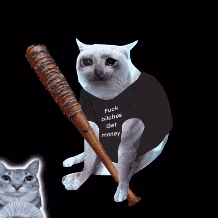 Cash Cat #3744