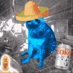 Cash Cat #7498