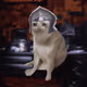Cash Cat #4694