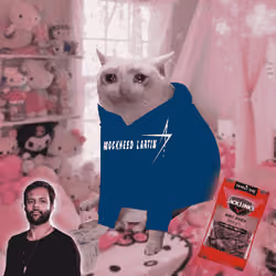 Cash Cat #7148