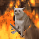 3927